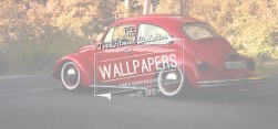Wallpaper: VW Beetle – They Found Each Other Wallpaper: VW Beetle – They Found Each Other
