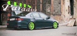 Green Paradise